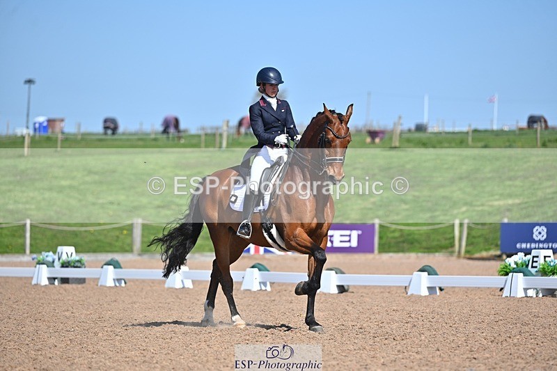 250405-130336-10826 - 028-Elizabeth.Allen-Heraldik