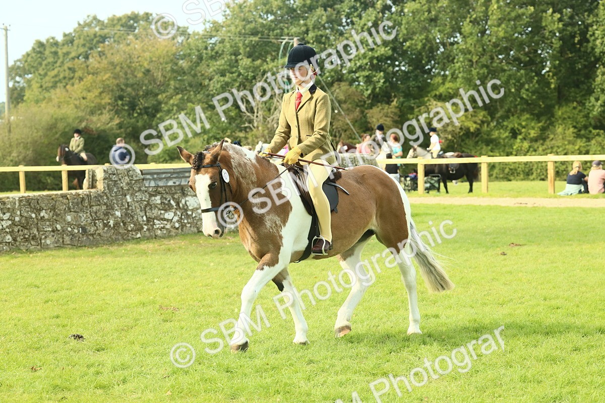SBM_68107 - S57 - Part Bred Pony Ridden