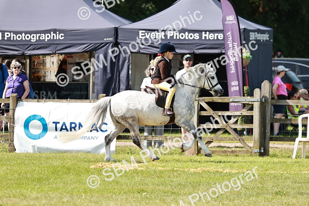 SBM_12785 - Class 106-107 - BSPS LIHS Working Sports Pony
