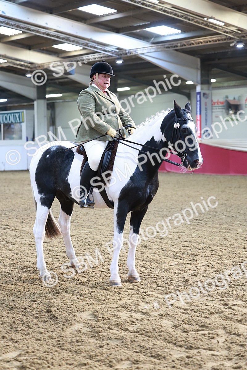 SBM_11849 - Class 102 - Equitation (Best Rider) Adult