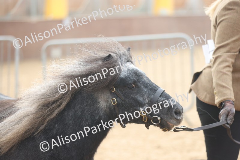 20251109-0040 - Class 3 - 2 and 3 Year Old