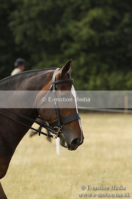 _BS_0481 - BVRC Show 2018 Ring 3