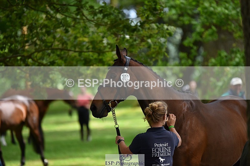 240522-150248-00055 - 302-BGS_LUX_ELECTRIC-Emily_Philp