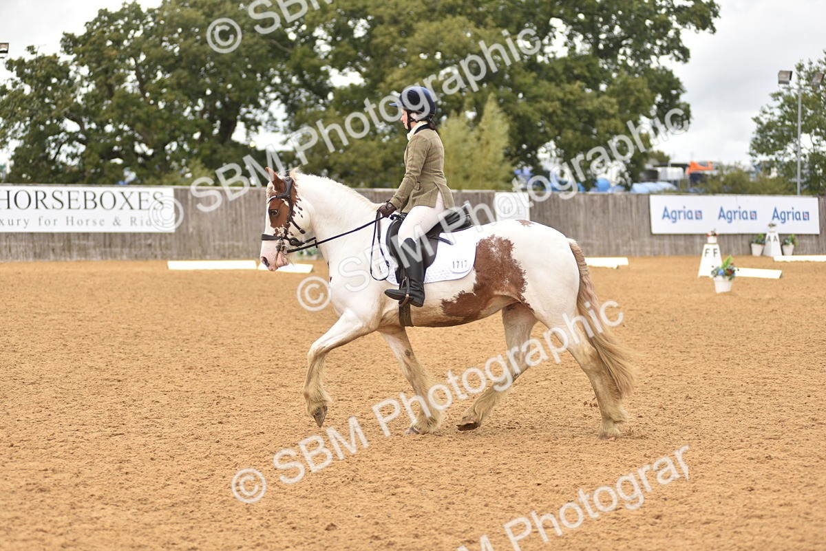 SBM_42337 - D22 - Junior Championship Intro 3