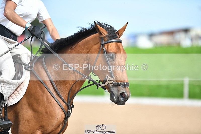 230903A-120203-04263 - Cls 14 1.10m Amateur Quali