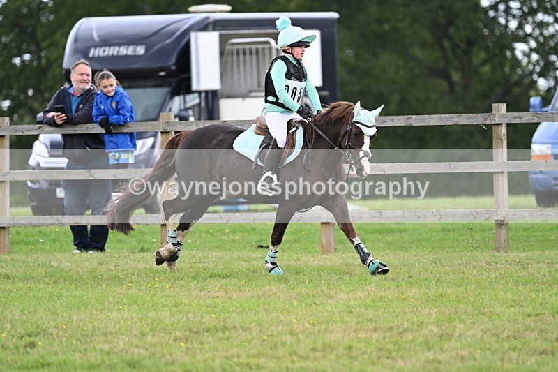 WJ7_8354 - 60cm Time 12:11 to 12:30