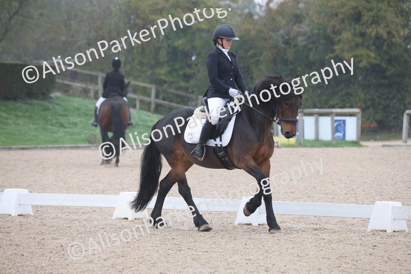 20251012-0433 - Class 3 - Novice 5