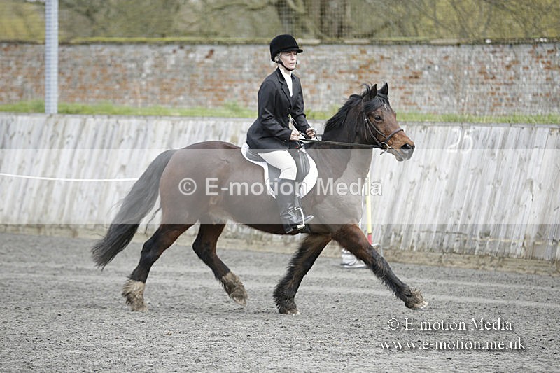 BVRC 050320 0132 - Bourne Valley riding Club Show Jumping Tidworth 08/03/20