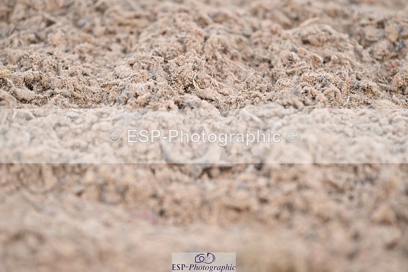 240324A-114046-01269 - Prelim 13