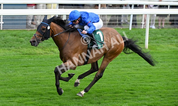 220825-064 Trawlerman - Race 2 2.25pm Weatherbys Lonsdale Cup Stakes