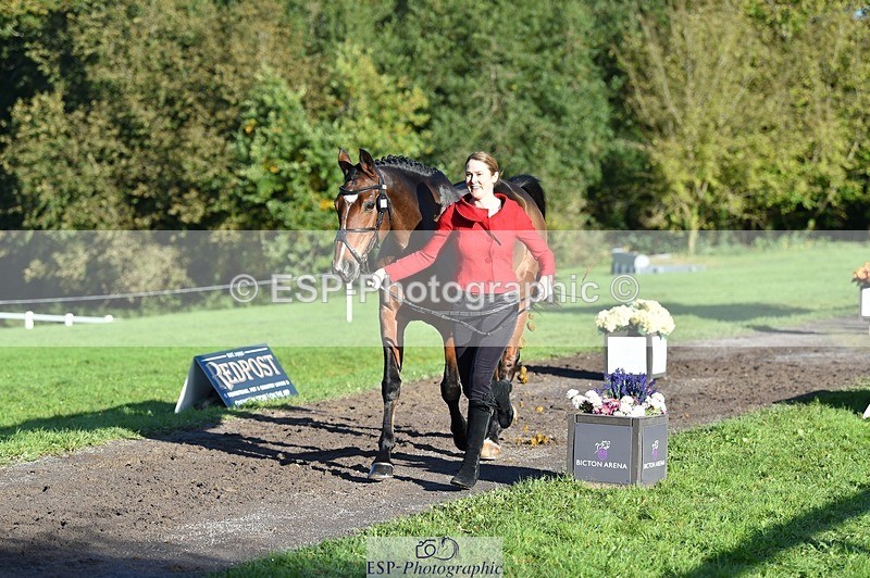 231022-095310-22089 - 507-EDGEDALE.BLUE.LADY-Katie.Lavin-TrotUp+SJ