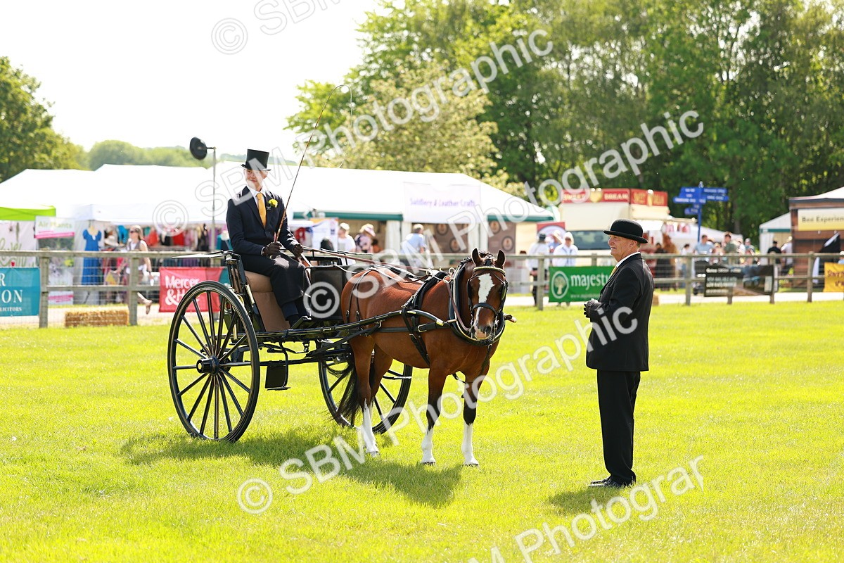 SBM_02648 - Class 2-4 - HOYS Private Driving
