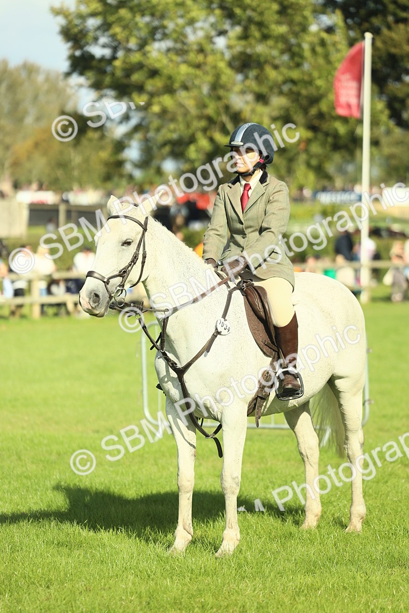 SBM_49834 - S32 - Novice & Newcomers Working Hunter