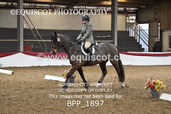 BPP_1897 - INTRO TEST 3