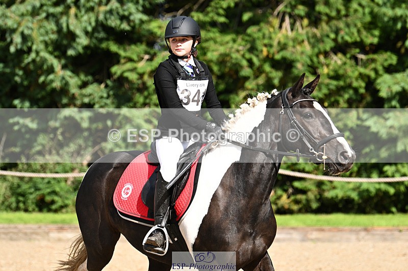 240824X-154120-29731 - 80cm Round 2 15.30 to 16.50