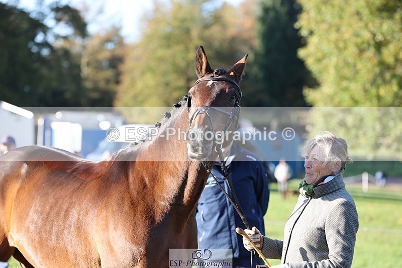 241027-090704-15047 - 453-Caroline.Davies-HAPPY.H