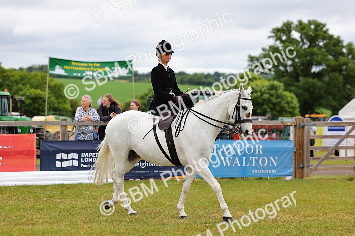 SBM_02691 - Class 9-11 Side Saddle including LIHS Rising Star Ladies Show Horse