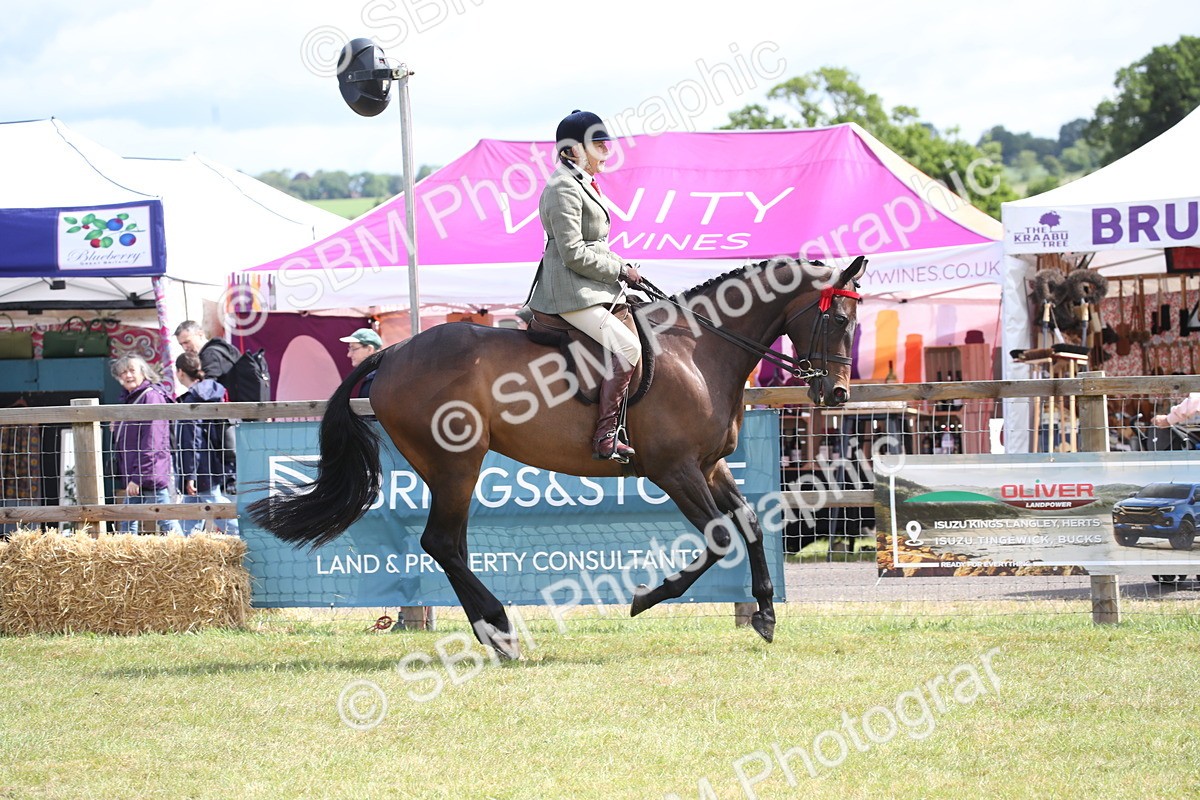 SBM_13215 - Class 95-96 - LIHS BSHA Rising Star Hack Riding Horse