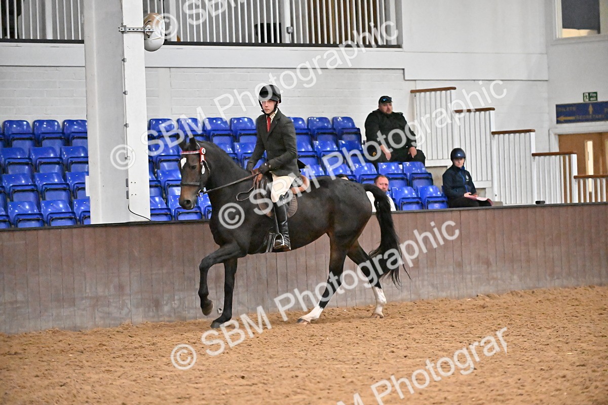 SBM_002914 - Class 36 - BSHA Style and Performance