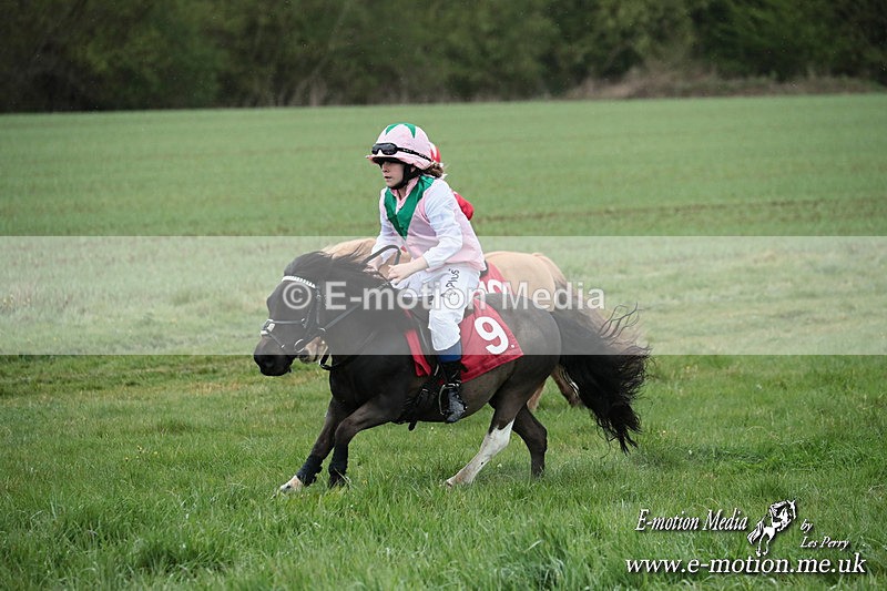 SHETPR 210425 202 - Shetland Ponies Paxford Races 21/04/25