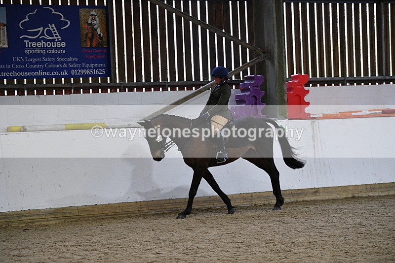 WJ5_8007 - Class 13 Ridden Part Breed