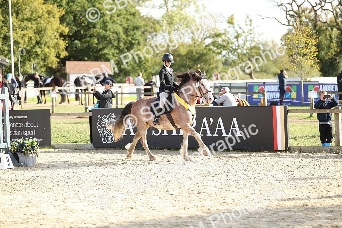 SBM_49676 - J22 - Junior Horse 65cm Championship