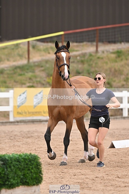 250716-155959-02319 - Trot Up 3.30 to 4.30