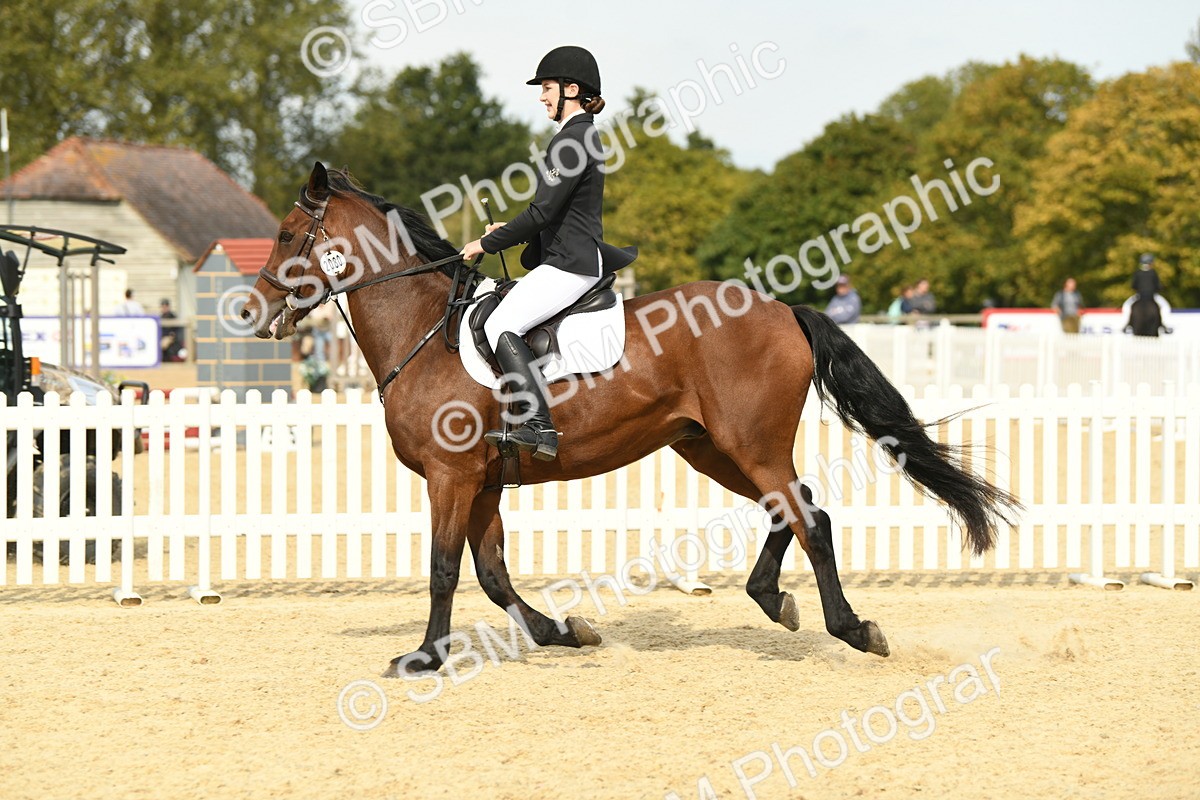 SBM_65322 - J48 - Pairs Jumping Open 70cm & 85cm