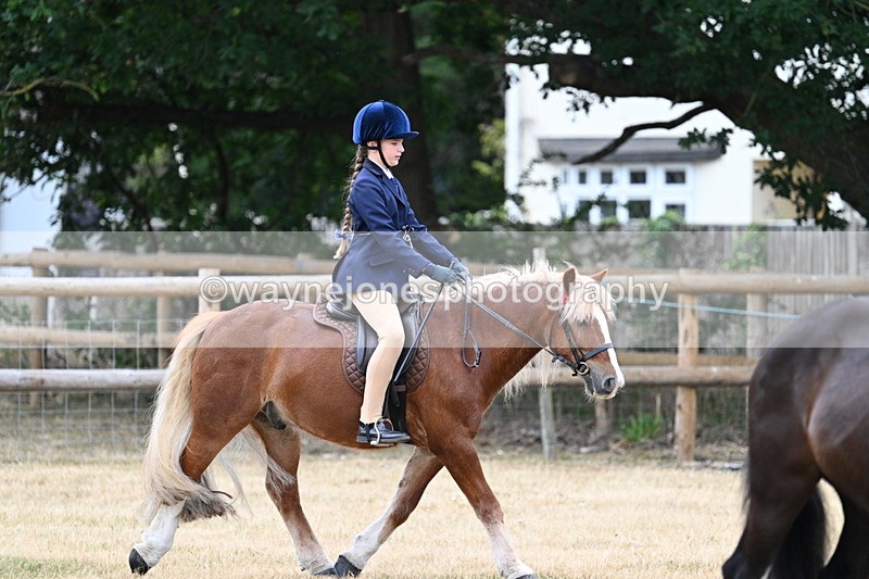 WJ7_0432 - Class 2 Best rider