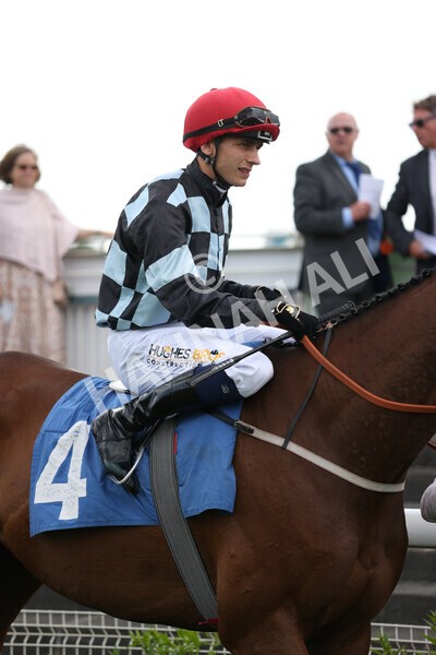 yr10062022r7-7 - Race 7 5.10pm Andy Thornton Hospitality Furniture Stakes