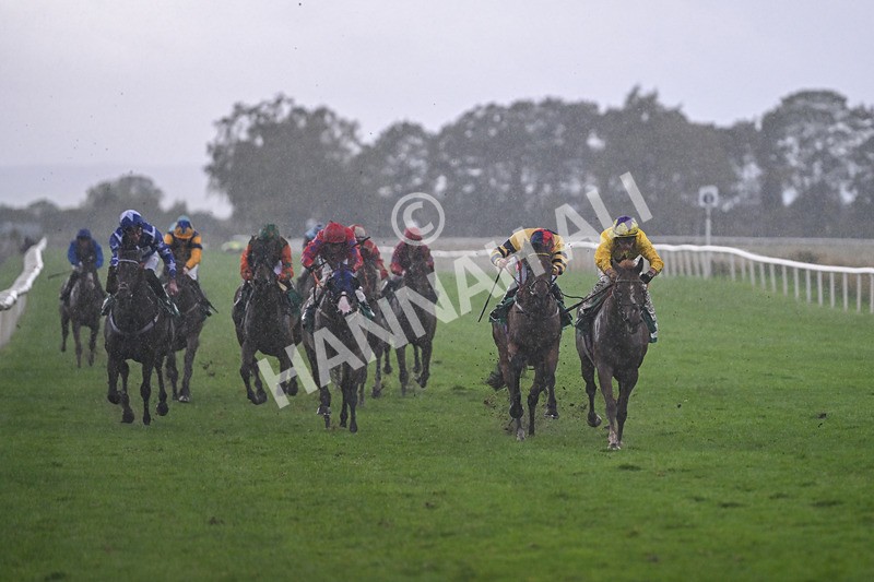 150925-Race 6-Day Of Grace-3113 - Race 6