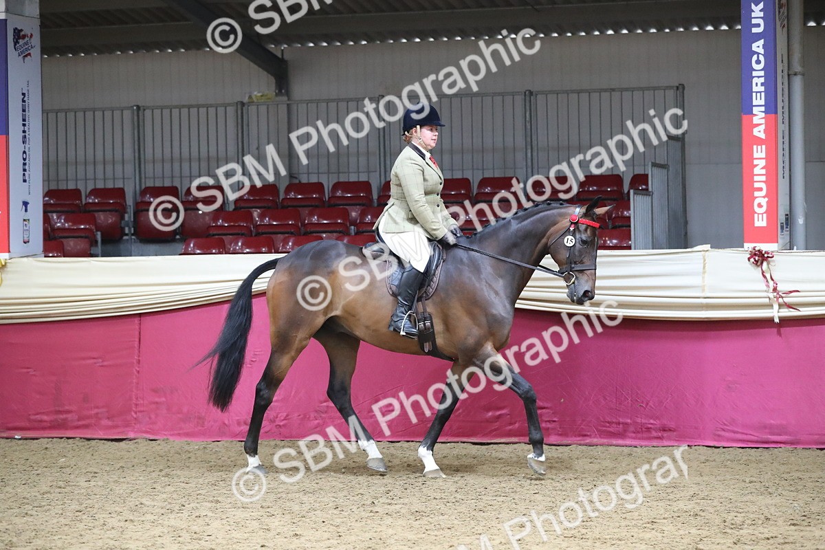 SBM_12303 - Class 108 Ridden Retired Racehorse- Pre Judging