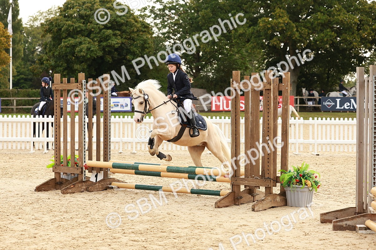 SBM_57664 - J11 - Junior Pony 50cm Championship
