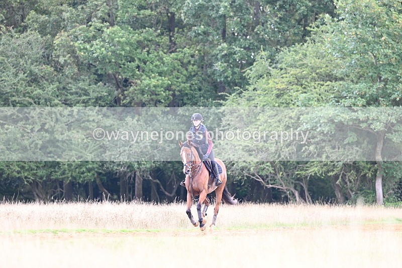 DSC_7362 - Time at Statue 13:16 to 13:52