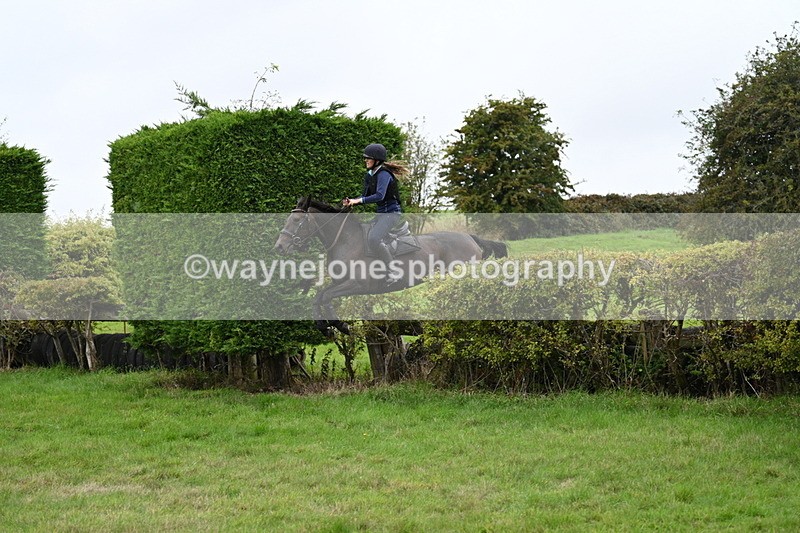 WJ7_9003 - Time 13:31 to 14:00