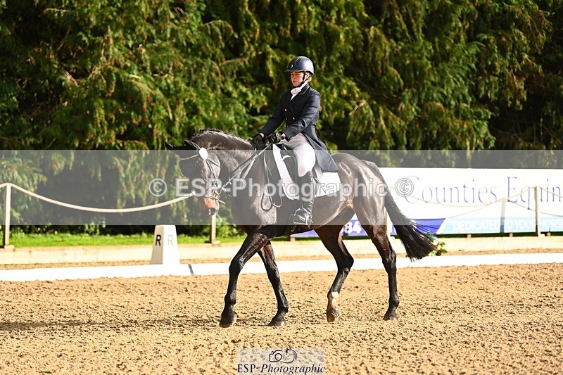 231021-153151-20878 - 259-BOSTON.IV-Rosie.Thomson-DR