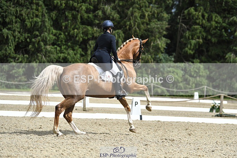 230812-144409-04784 - Cls 7 FEI PSG Bronze