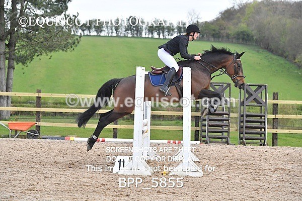 BPP_5855 - CLASS 24 SUN Senior British Novice/ 90cm Open