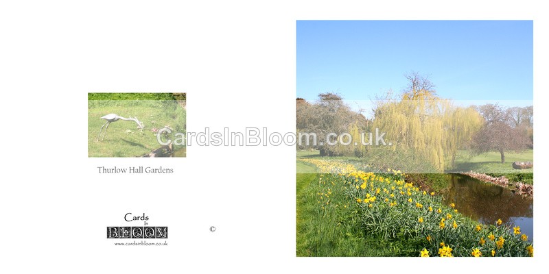 07 Spring at Thurlow Hall Gardens, Suffolk - GARDENS