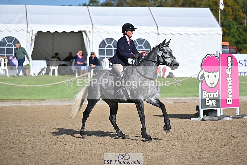 241027-110931-16624 - 320-Alice.Tollworthy-OUR.DOLPHIN.STAR