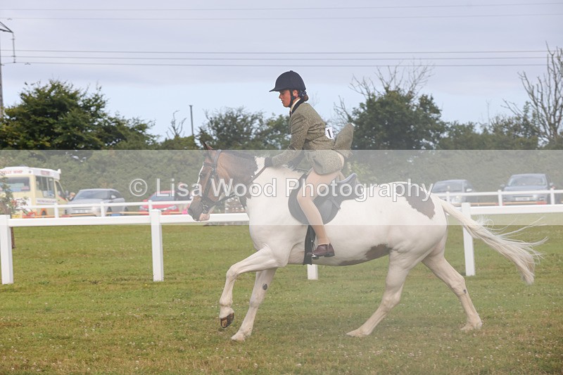 1X9A3059 - Class 26: Ridden Plaited Coloured Pony