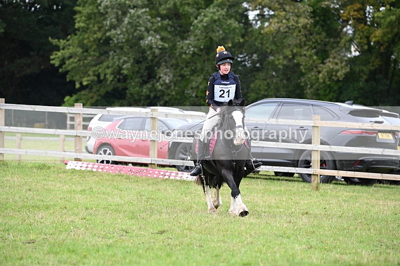 WJ6_0636 - 40cm Time 10:29 to 10:52