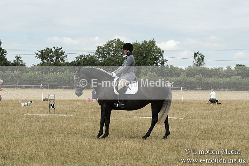 _PJP5764 - Dressage Classes BVRC Show 2018