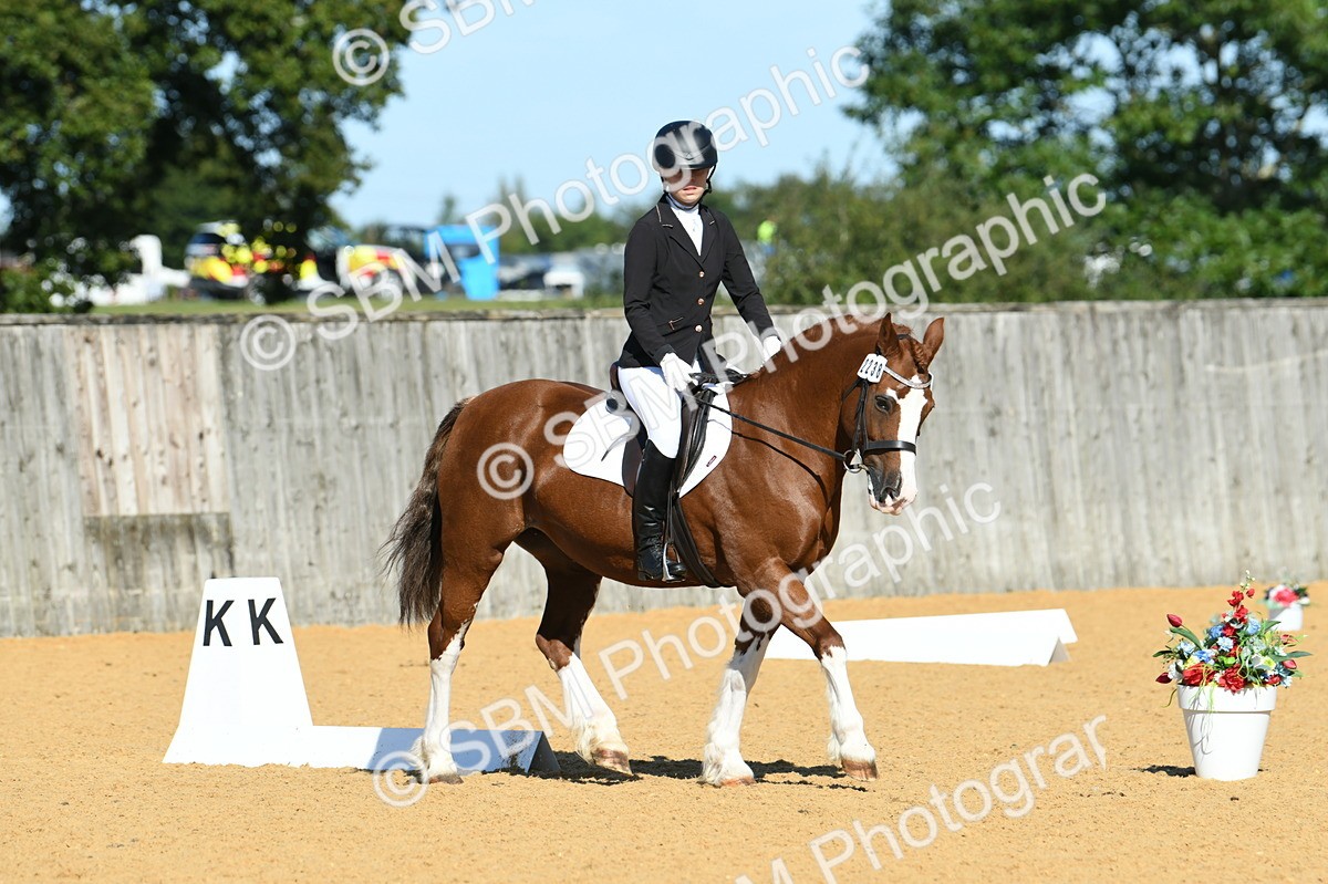 SBM_18019 - D4 - Small Tour Championship - Intro B