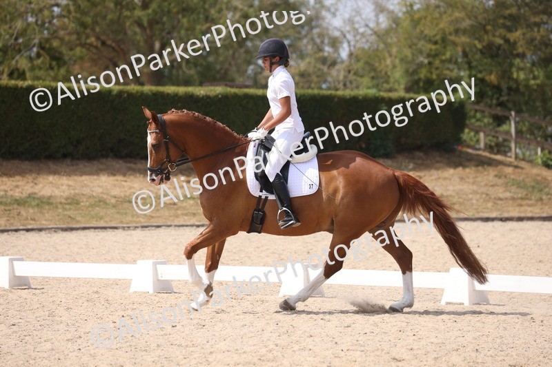 20260815-0990 - Class 5 - Novice 1