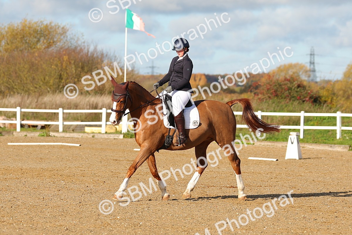SBM_000560 - Novice 4