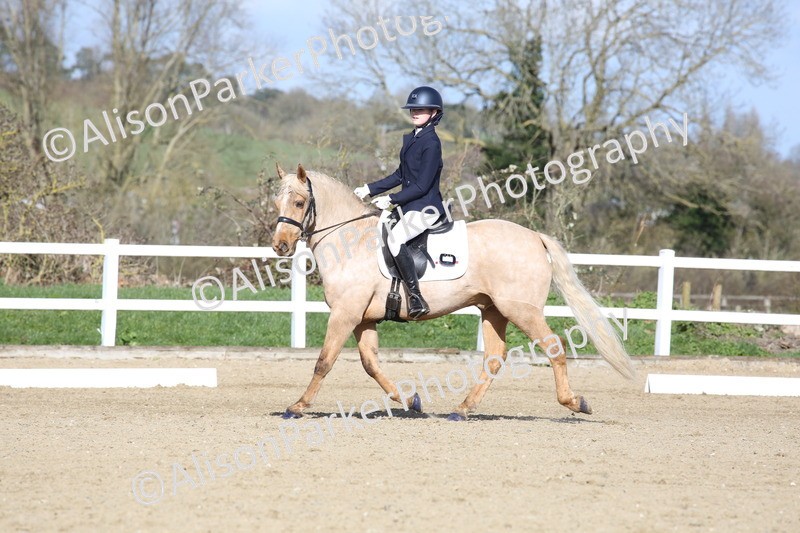 20260314-5169 - DR6 - Novice 2