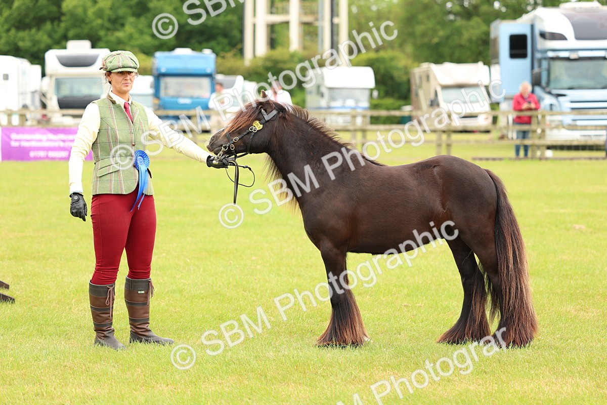 SBM_06313 - Class 39-41 TGCA In Hand and Ridden