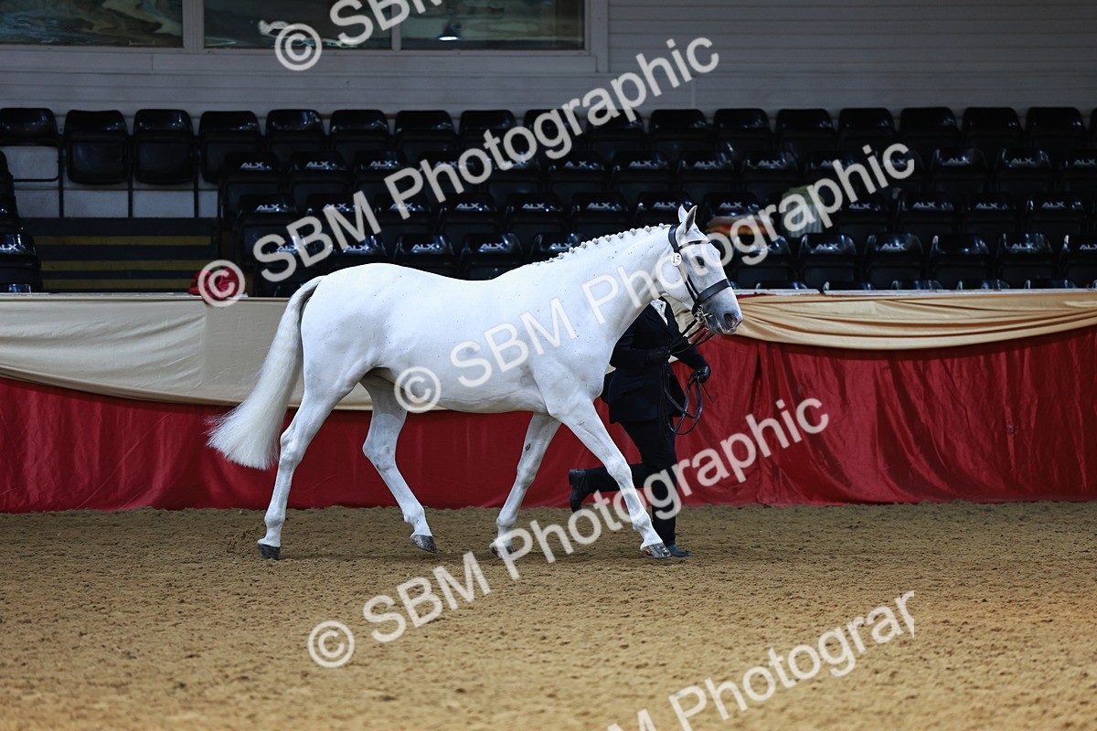 SBM_23045 - Class 903 - Supreme Final - IH Pre Vet