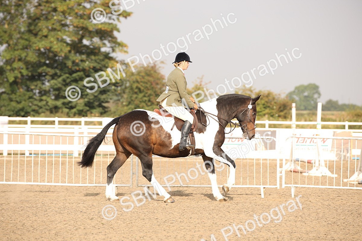 SBM_10238 - Class 402 Riding Club Horse